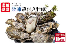 牡蠣 殻付き 生食 可 15個（5個入×3袋） 宮城県産 冷凍 小分け カキ かき オイスター 魚介類 海産物 海鮮 生牡蠣 蒸し牡蠣 生かき 厳選 濃厚 大粒 BBQ バーベキュー 浜焼き 海鮮焼き レンジ 調理 宮城 石巻 宮城県 石巻市
