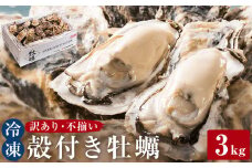 牡蠣〈 訳あり 〉冷凍 殻付き 牡蠣 3kg 三陸産 不揃い カキ かき 加熱用 カンカン焼き ガンガン焼き 蒸し牡蠣 カキ 真牡蠣 BBQ 浜焼き バーベキュー 新鮮 海鮮 魚介 国産 取り寄せ グルメ 急速冷凍 宮城 石巻 宮城県 石巻市 送料無料