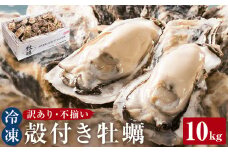 牡蠣 〈 訳あり 〉冷凍 殻付き 牡蠣 10kg 三陸産 不揃い カキ かき 加熱用 カンカン焼き ガンガン焼き 蒸し牡蠣 カキ 真牡蠣 BBQ 浜焼き バーベキュー 新鮮 海鮮 魚介 国産 取り寄せ グルメ 急速冷凍 宮城 石巻 宮城県 石巻市 送料無料