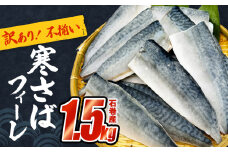 さば 〈 訳あり 〉宮城県産 寒さば フィーレ 無塩 1.5kg 冷凍 魚 青魚 鯖 切身 焼魚 煮魚 わけあり 不揃い ご家庭用 食塩無添加 国産 鯖フィレ サバフィーレ 切り身 バラバラ冷凍 鯖の味噌味 宮城県 石巻市