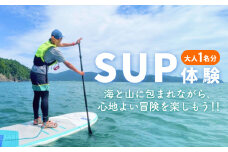 SUP 体験 大人１名様分 体験ツアー 石巻市 雄勝湾 海 