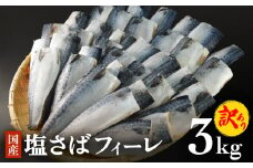 ＜訳あり＞ 国産 塩さばフィレ 3kg 冷凍 国産さば 切身 フィレ わけあり 不揃い サバフィレ 塩サバ サバ 魚 鯖 急速冷凍 新鮮 魚 青魚 塩さば 鯖フィレ さばフィレ サバフィーレ 塩鯖 saba 国産 切り身 焼き魚 焼魚 宮城県 石巻市 ふるさと納税 送料無料 石巻応援