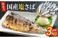 ＜訳あり＞ 国産 塩さば フィレ 3kg 冷凍 国産さば 切身 フィレ わけあり 不揃い サバフィレ 塩サバ サバ 魚 鯖 急速冷凍 新鮮 魚 青魚 塩さば 鯖フィレ さばフィレ サバフィーレ 塩鯖 saba 国産 切り身 焼き魚 焼魚 宮城県 石巻市 ふるさと納税 送料無料 石巻応援