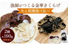 ＜ 期間限定 ＞漁師がつくる 金華 きくらげ 生と乾燥 食べ比べ 合計約190g 生きくらげ 乾燥きくらげ キクラゲ 木耳 きのこ 乾燥 国産 食物繊維 野菜