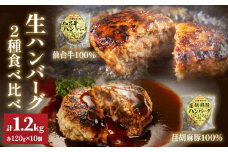 仙台牛 仙台牛100% 荏胡麻豚 えごま豚100% 生ハンバーグ 食べ比べ 120g 各5個 ハンバーグ 手作り 肉屋 おかず 個包装 簡単 便利