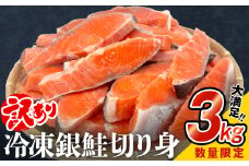 【訳あり】鮭 切り身 3kg  銀鮭 切身 期間限定 数量限定 冷凍 不揃い 厚切り 肉厚 家庭用 サーモン 塩鮭 しゃけ シャケ 焼き魚 宮城県 石巻市 数量限定 魚介類 魚 海産物 さけ おかず おつまみ ふるさと納税 16000円 石巻応援