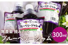 ブルーベリージャム 300ml  無添加 摘みたて 手作り 果実 100% アントシアニン トッピング
