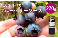 ブルーベリーソース 220g 無添加 手作り フルーツソース 果実