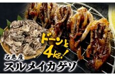 いか 〈 訳あり 〉配送時期指定なし 宮城県産 スルメイカ ゲソ 4kg 冷凍 国産 スルメイカ いか 下足 イカ イカゲソ カルパッチョ おつまみ 魚介類 焼イカ イカ料理 バーベキュー BBQ わけあり 不揃い 烏賊 炒め物 フライ ゲソ天 唐揚げ 石巻応援