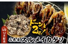 いか 〈 訳あり 〉12月配送 宮城県産 スルメイカ ゲソ 2kg 冷凍 国産 いか 下足 イカ イカゲソ カルパッチョ おつまみ 魚介類 焼イカ イカ料理  バーベキュー BBQ わけあり 不揃い 烏賊 炒め物 フライ ゲソ天 唐揚げ 石巻応援