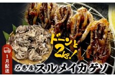 いか 〈 訳あり 〉1月配送 宮城県産 スルメイカ ゲソ 2kg 冷凍 国産 いか 下足 イカ イカゲソ カルパッチョ おつまみ 魚介類 焼イカ イカ料理  バーベキュー BBQ わけあり 不揃い 烏賊 炒め物 フライ ゲソ天 唐揚げ 石巻応援