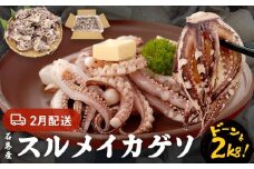 いか 〈 訳あり 〉2月配送 宮城県産 スルメイカ ゲソ 2kg 冷凍 国産  いか 下足 イカ イカゲソ カルパッチョ おつまみ 魚介類 焼イカ イカ料理  バーベキュー BBQ わけあり 不揃い 烏賊 炒め物 フライ ゲソ天 唐揚げ 石巻応援