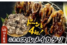 いか 〈 訳あり 〉10月配送 宮城県産 スルメイカ ゲソ 4kg 冷凍 国産 スルメイカ いか 下足 イカ イカゲソ カルパッチョ おつまみ 魚介類 焼イカ イカ料理 バーベキュー BBQ わけあり 不揃い 烏賊 炒め物 フライ ゲソ天 唐揚げ 石巻応援