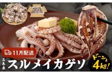 いか 〈 訳あり 〉11月配送 宮城県産 スルメイカ ゲソ 4kg 冷凍 国産 スルメイカ いか 下足 イカ イカゲソ カルパッチョ おつまみ 魚介類 焼イカ イカ料理 バーベキュー BBQ わけあり 不揃い 烏賊 炒め物 フライ ゲソ天 唐揚げ 石巻応援