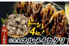 いか 〈 訳あり 〉1月配送 宮城県産 スルメイカ ゲソ 4kg 冷凍 国産 スルメイカ いか 下足 イカ イカゲソ カルパッチョ おつまみ 魚介類 焼イカ イカ料理 バーベキュー BBQ わけあり 不揃い 烏賊 炒め物 フライ ゲソ天 唐揚げ 石巻応援