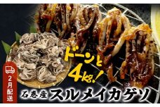 いか 〈 訳あり 〉2月配送 宮城県産 スルメイカ ゲソ 4kg 冷凍 国産 スルメイカ いか 下足 イカ イカゲソ カルパッチョ おつまみ 魚介類 焼イカ イカ料理 バーベキュー BBQ わけあり 不揃い 烏賊 炒め物 フライ ゲソ天 唐揚げ 石巻応援
