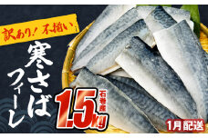 さば 〈 訳あり 〉1月配送 宮城県産 寒さば フィーレ 無塩 1.5kg 冷凍 魚 青魚 鯖 切身 焼魚 煮魚 わけあり 不揃い ご家庭用 食塩無添加 国産 鯖フィレ サバフィーレ 切り身 バラバラ冷凍 鯖の味噌味 宮城県 石巻市