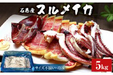 石巻市産スルメイカ5kg 冷凍 煮物 一夜干し いか おかず おつまみ マリネ 