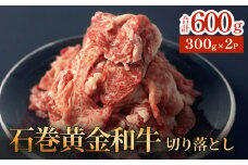 牛肉 石巻 黄金 和牛 切り落とし 300g×2P 赤身 国産 美味しい 使いやすい 小分け 肉 お肉 細切れ おかず すき焼き 焼肉 冷凍