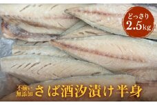 不揃い 訳あり 無添加さば酒汐漬け半身（ どっさり 2.5kg ） サバ 鯖 冷凍 おかず 簡単調理 保存料着色料不使用 