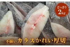 不揃い 訳あり カラスかれい厚切（ どっさり 2kg ）カレイ 冷凍 おかず 切身 煮魚 焼き魚