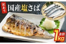 ＜訳あり＞ 国産 塩さばフィレ 1kg ( 10枚前後 )  冷凍 国産さば 切身 フィレ わけあり 不揃い サバフィレ 塩サバ サバ 魚 鯖 急速冷凍 新鮮 魚 青魚 塩さば 鯖フィレ さばフィレ サバフィーレ 塩鯖 saba 国産 切り身 焼き魚 焼魚 宮城県 石巻市 ふるさと納税 送料無料 石巻応援