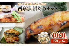 西京漬 銀だら セット 6種 詰め合わせ 約 1kg 冷凍 惣菜 漬魚 漬け 食べ比べ 西京焼 銀鱈 ぎんだら 銀鮭 さけ 赤魚 サケ 赤ウオ 鯖 ブリ 鰤 サバ 味噌 魚 おかず ご飯のお供 お魚 和風惣菜 和食 レトルト 石巻 宮城 宮城県 石巻市 石巻応援