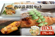 西京漬 銀鮭 セット 6種 詰め合わせ 約 1kg  冷凍 惣菜 漬魚 漬け 西京焼 銀ざけ 鮭 ぎんざけ さけ サケ さば 鯖 サバ ブリ 赤魚 ぶり 味噌 魚 和風 和食惣菜 お惣菜 食べ比べ おかず ご飯のお供 宮城県 石巻市 石巻応援