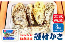 レンジで簡単調理 殻付きかき 500g 6P 冷凍 宮城県産 殻付き 簡単調理 BBQ 牡蠣 カキ 加熱用 蒸し牡蠣 焼き牡蠣 三陸 海鮮 魚介 海鮮物 BBQ バーベキュー キャンプ お取り寄せ レンチン 時短調理 宮城県 石巻市