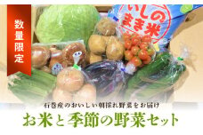 ＜数量限定＞ 石巻産 お米と季節の野菜セット 詰め合せ 朝採れ 旬の野菜 季節の野菜 やさい お野菜 野菜 ヤサイ 米 ひとめぼれ 5kg コメ 詰め合わせ 食材 新鮮 宮城 石巻 宮城県 石巻市