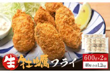 三陸産カキフライ600g（20粒入）×2パックセット 冷凍 牡蠣 かき 大粒 海鮮 貝 揚げ物 オイスター おかず おつまみ 美味しい サクサク