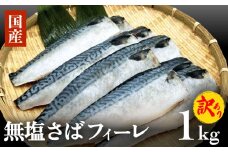 さば 訳あり 無塩サバフィレ 1kg（10枚前後） 冷凍 鯖 無塩 フィレ さばフィレ saba サバ 訳アリ 切り身 海鮮 惣菜 小分け バラ冷凍 不揃い 魚 お魚 焼き魚 煮魚 おかず お弁当 美味しい 簡単調理 石巻応援
