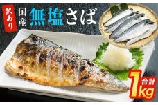 さば 訳あり 無塩サバフィレ 1kg（10枚前後） 冷凍 鯖 無塩 フィレ さばフィレ saba サバ 訳アリ 切り身 海鮮 惣菜 小分け バラ冷凍 不揃い 魚 お魚 焼き魚 煮魚 おかず お弁当 美味しい 簡単調理 石巻応援