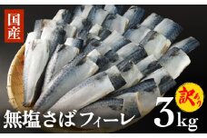サバ 訳あり 無塩サバフィレ 3kg (30枚前後)  冷凍 鯖 無塩 フィレ さばフィレ saba サバ 訳アリ 切り身 海鮮 惣菜 小分け バラ冷凍 不揃い 魚 お魚 焼き魚 煮魚 おかず お弁当 美味しい 簡単調理 石巻応援