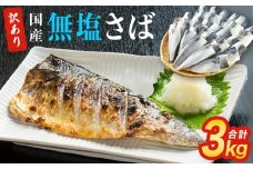 サバ 訳あり 無塩サバ フィレ 3kg (30枚前後)  サバフィレ 冷凍 鯖 無塩 フィレ さばフィレ saba サバ 訳アリ 切り身 海鮮 惣菜 小分け バラ冷凍 不揃い 魚 お魚 焼き魚 煮魚 おかず お弁当 美味しい 簡単調理 石巻応援