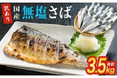 さば 訳あり 無塩サバ フィレ 3.5kg （30枚前後） サバフィレ 冷凍 鯖 無塩 フィレ さばフィレ saba サバ 訳アリ 切り身 海鮮 惣菜 小分け バラ冷凍 不揃い 魚 お魚 焼き魚 煮魚 おかず お弁当 美味しい 簡単調理 石巻応援