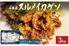石巻市産 スルメイカゲソ 3kg 冷凍 国産 スルメイカ いか 下足 イカ イカゲソ おつまみ 魚介類 焼イカ バーベキュー BBQ 烏賊 炒め物 フライ ゲソ天 唐揚げ おかず バラ バラ冷凍 いか 宮城県 石巻市