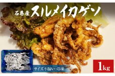 石巻市産 スルメイカゲソ 1kg 冷凍 国産 スルメイカ いか 下足 イカ イカゲソ おつまみ 魚介類 焼イカ バーベキュー BBQ 烏賊 炒め物 フライ ゲソ天 唐揚げ おかず バラ バラ冷凍 いか 宮城県 石巻市