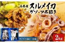 石巻市産 スルメイカ 2kg イカゲソ イカツボ抜き 詰め合せセット 冷凍 国産 スルメイカゲソ1kg  スルメイカ ツボ抜き1kg 食べ比べ 唐揚げ マリネ ゲソ天 バラ冷凍 不揃い 加熱用 海鮮 いか 下足 イカ おつまみ 魚介類 焼イカ バーベキュー BBQ 宮城県 石巻市