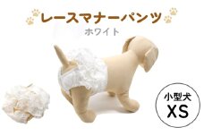レースマナーパンツ ホワイト 小型犬XS ペット用 犬 お出かけ 手作り マナーウェア おむつ オムツ カバー