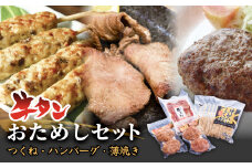 牛タンおためしセット 冷凍 食べ比べ 詰め合わせ 牛たんつくね 薄焼き牛たん ハンバーグ  チーズ入ハンバーグ  簡単調理 おかず おつまみ