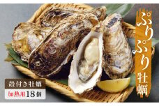 牡蠣 殻付き 18個 加熱調理用 宮城県産 石巻市 かき 冷蔵 蒸し牡蠣 焼き牡蠣