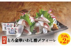 とろ金華いわし酢〆フィーレ 500g 金華いわし 鰯 いわし イワシ フィレ 切身 酢締め お酢 魚 魚介 海鮮 魚介類 冷凍