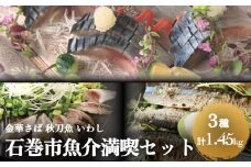 金華さば 秋刀魚 いわし 石巻市魚介満喫セット 鯖 サバ サンマ さんま 鰯 イワシ セット フィレ 切身 魚 魚介 海鮮 魚介類 急速冷凍