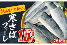 さば 〈 訳あり 〉7月配送 宮城県産 寒さば フィーレ 無塩 1.5kg 冷凍 魚 青魚 鯖 切身 焼魚 煮魚 わけあり 不揃い ご家庭用 食塩無添加 国産 鯖フィレ サバフィーレ 切り身 バラバラ冷凍 鯖の味噌味 宮城県 石巻市