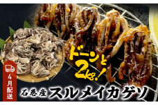いか 〈 訳あり 〉4月配送 宮城県産 スルメイカ ゲソ 2kg 冷凍 国産 いか 下足 イカ イカゲソ カルパッチョ おつまみ 魚介類 焼イカ イカ料理  バーベキュー BBQ わけあり 不揃い 烏賊 炒め物 フライ ゲソ天 唐揚げ 石巻応援