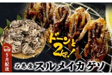 いか 〈 訳あり 〉5月配送 宮城県産 スルメイカ ゲソ 2kg 冷凍 国産 いか 下足 イカ イカゲソ カルパッチョ おつまみ 魚介類 焼イカ イカ料理  バーベキュー BBQ わけあり 不揃い 烏賊 炒め物 フライ ゲソ天 唐揚げ 石巻応援