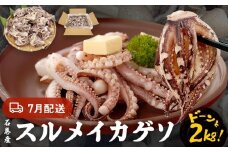 いか 〈 訳あり 〉7月配送 宮城県産 スルメイカ ゲソ 2kg 冷凍 国産 いか 下足 イカ イカゲソ カルパッチョ おつまみ 魚介類 焼イカ イカ料理  バーベキュー BBQ わけあり 不揃い 烏賊 炒め物 フライ ゲソ天 唐揚げ 石巻応援