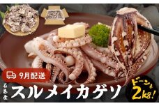 いか 〈 訳あり 〉9月配送 宮城県産 スルメイカ ゲソ 2kg 冷凍 国産 いか 下足 イカ イカゲソ カルパッチョ おつまみ 魚介類 焼イカ イカ料理  バーベキュー BBQ わけあり 不揃い 烏賊 炒め物 フライ ゲソ天 唐揚げ 石巻応援