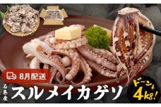 いか 〈 訳あり 〉8月配送 宮城県産 スルメイカ ゲソ 4kg 冷凍 国産 スルメイカ いか 下足 イカ イカゲソ カルパッチョ おつまみ 魚介類 焼イカ イカ料理 バーベキュー BBQ わけあり 不揃い 烏賊 炒め物 フライ ゲソ天 唐揚げ 石巻応援